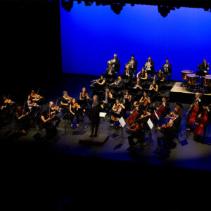 Read more about the article Sinfonia do Novo Mundo